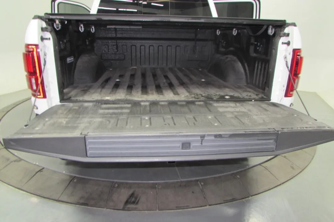 2020 Ford F-150 - 1FTFW1RG3LFA16175 - Image #13
