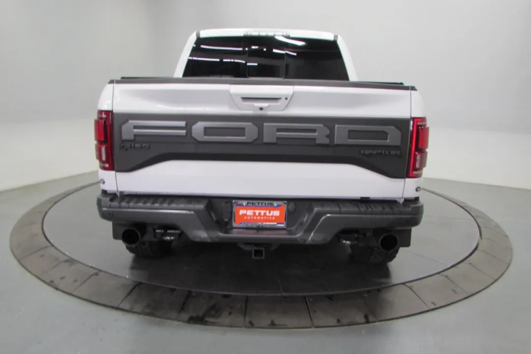 2020 Ford F-150 - 1FTFW1RG3LFA16175 - Image #6