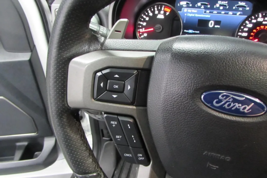 2020 Ford F-150 - 1FTFW1RG3LFA16175 - Image #19